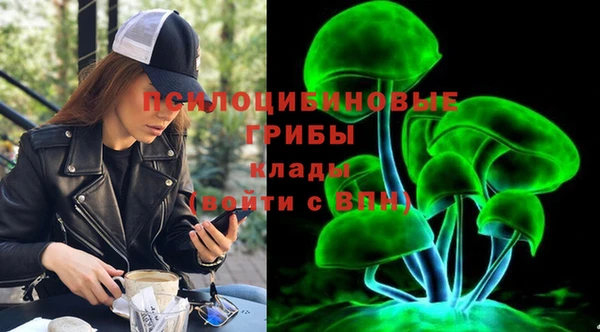 прущие грибы Покровск
