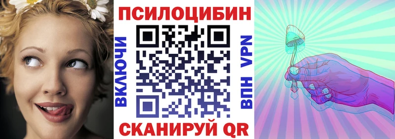 сколько стоит  Ликино-Дулёво  MEGA   Псилоцибиновые грибы Cubensis 