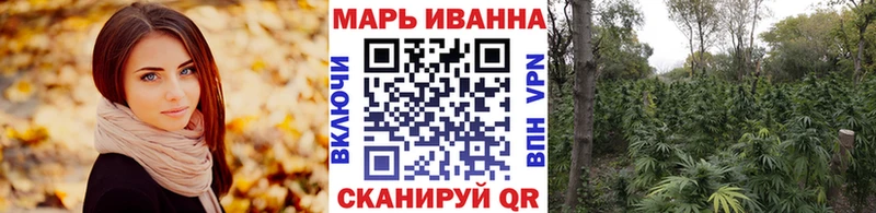 закладка  Ликино-Дулёво  Марихуана ГИДРОПОН 